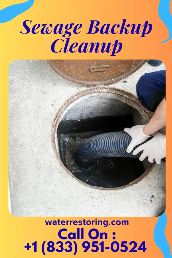 Sewage Backup Cleanup in Fort Dodge, IA